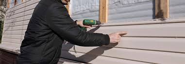 Best Custom Trim and Detailing for Siding  in Windsor, CO